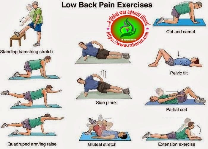 http://rxharun.com/low-back-pain-exercise