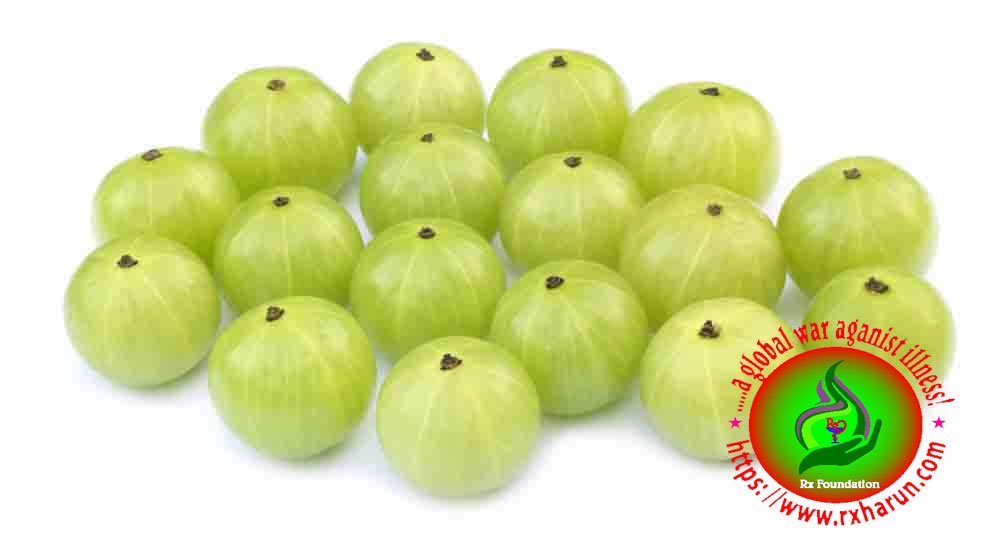 amla-fruit for Leukorrhea