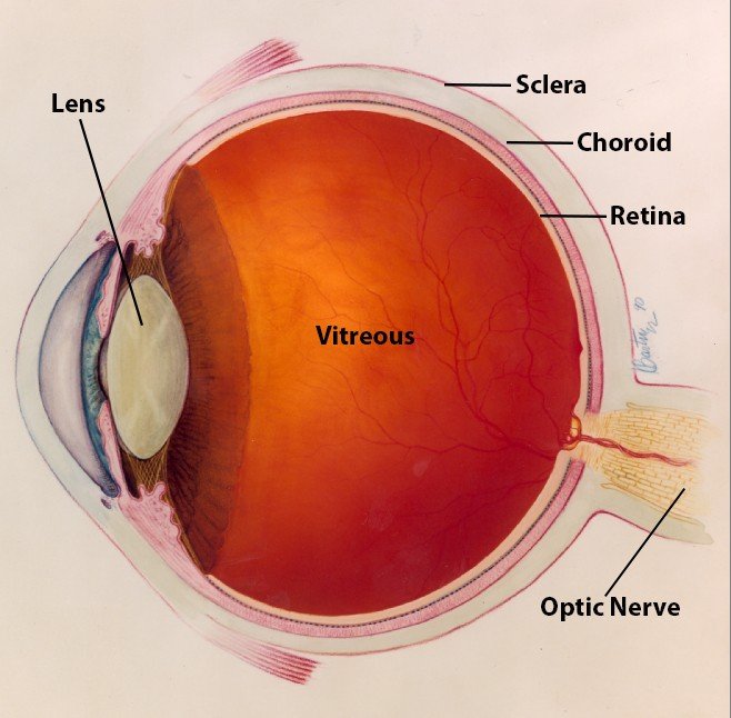 Nearsightedness Diagnosis