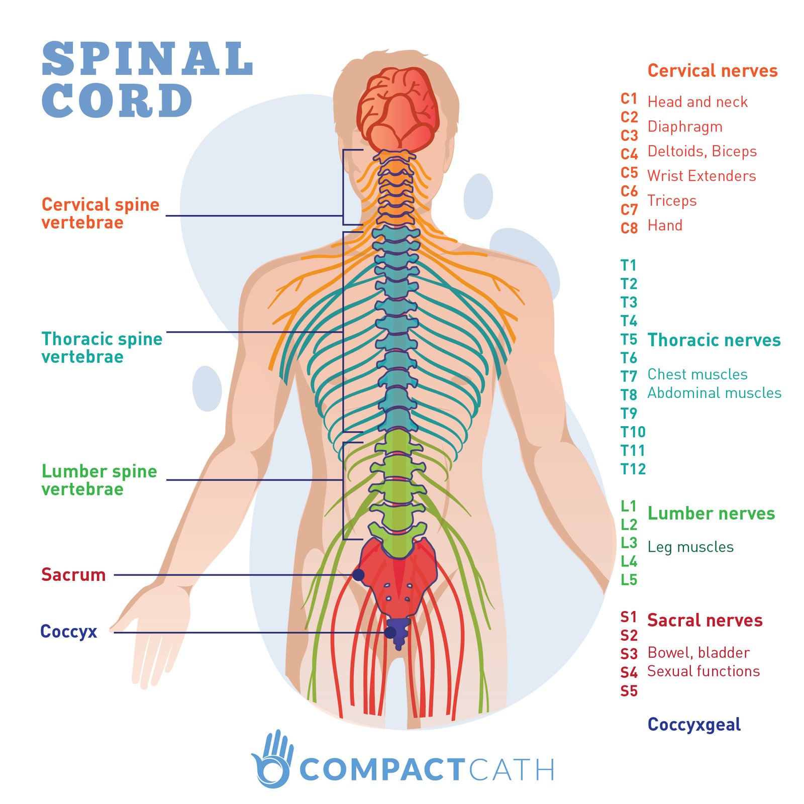 Symptoms of Spinal Cord Injury