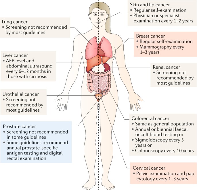 kidney transplant