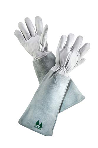 Leather Gardening Gloves by Fir Tree. Premium Goatskin Gloves With Cowhide Suede Gauntlet Sleeves. Perfect Rose Garden Gloves. Men's and Women's Sizes. M-8 (See Size Chart Photo)