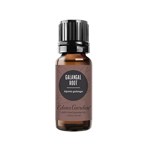 Edens Garden Galangal Root Essential Oil, 100% Pure Therapeutic Grade (Undiluted Natural/Homeopathic Aromatherapy Scented Essential Oil Singles) 10 ml