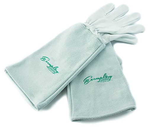Rose Pruning Gloves for Men and Women - Thorn Proof Goatskin Leather Gardening Gloves with Gauntlet (Medium)
