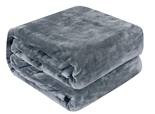 Luxury Collection Microplush Flannel Fleece Blanket | Ultra Soft 380 GSM Lightweight All-Season Anti-Static Throw/Blanket for Sofa Couch Bed (Twin (59'' x 78''), Azure Gray)