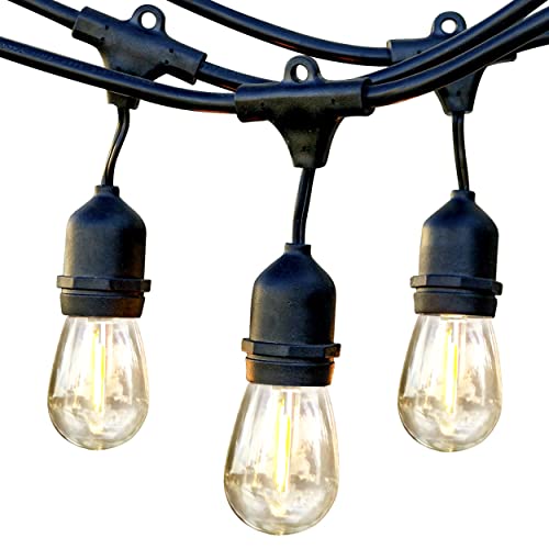 Brightech Ambience Pro LED String Lights - 48 Ft Commercial Grade Patio Lights Outdoor Waterproof - Heavy Duty Porch String Lights for Outside, Backyard - 1W Vintage Edison Bulbs, Dimmable