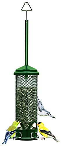 Squirrel Buster Mini Squirrel-proof Bird Feeder w/4 Metal Perches, 0.98-pound Seed Capacity, garden green