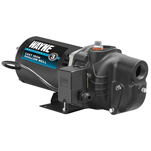 Wayne SWS100, 1 HP, Black