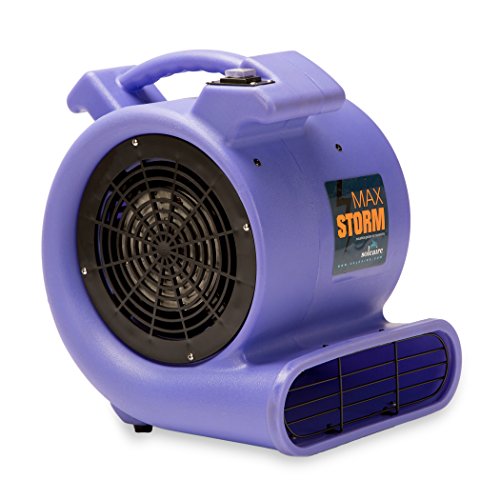 Soleaire SA-MS-PR Max Storm 1/2 HP Durable Lightweight Air Mover Carpet Dryer Blower Floor Fan for Pro Janitorial, Purple, 1 Pack