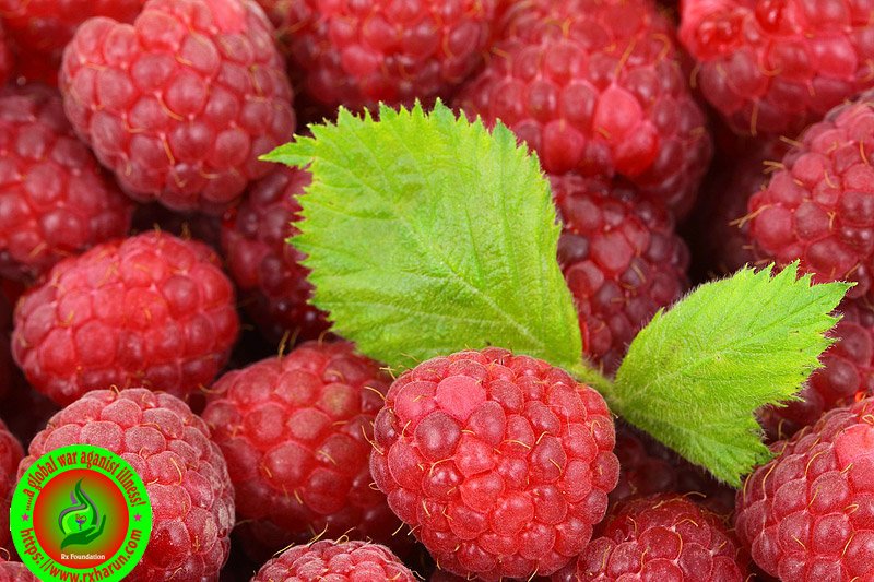 What Is The Best Antioxidant?