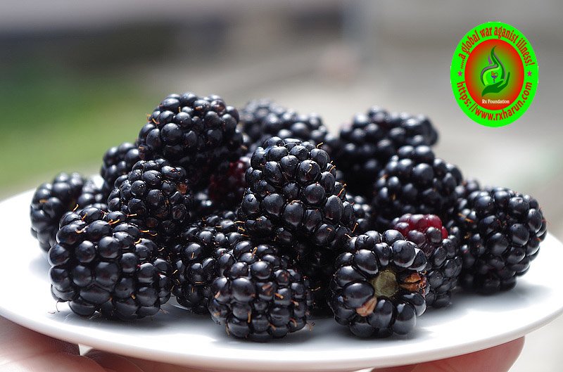 What Is The Best Antioxidant?