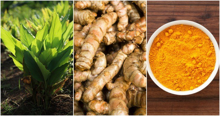 Turmeric Health Benefits