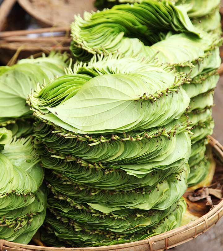 Betel leaf