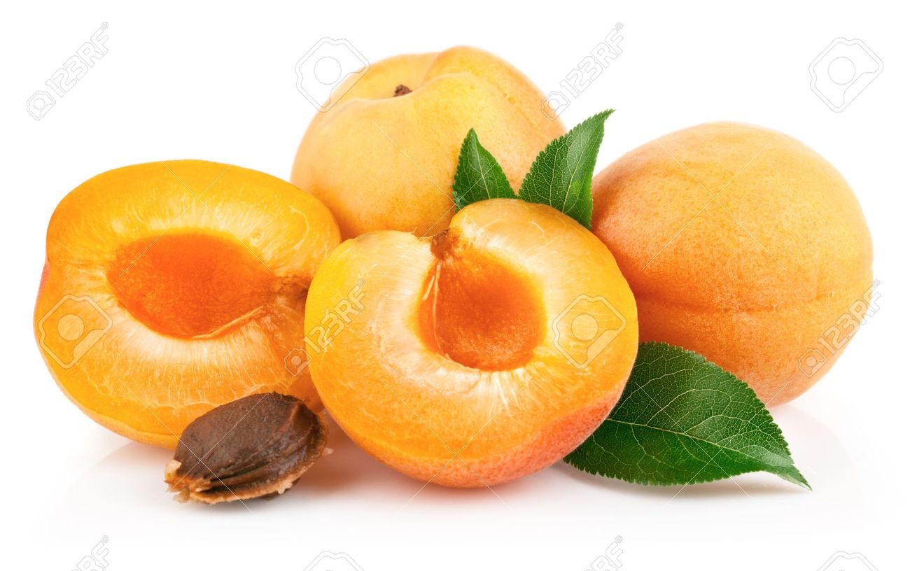 Apricot