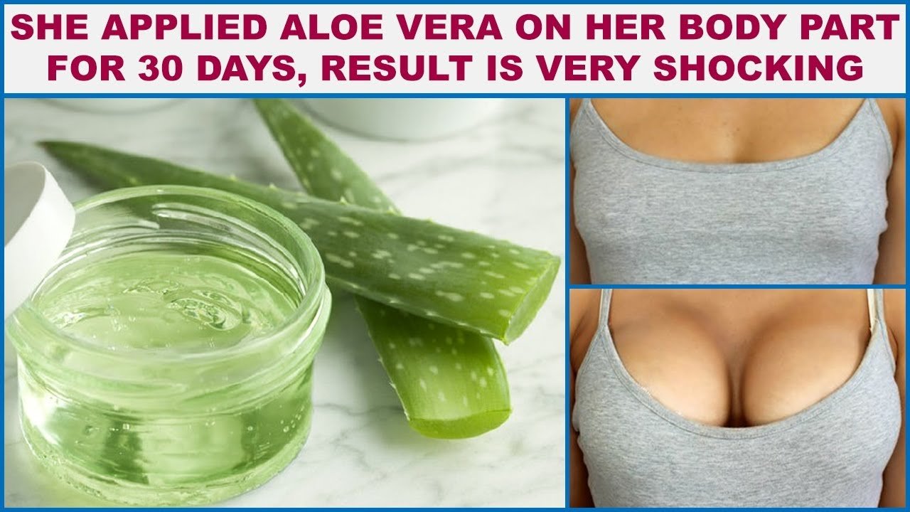 Aloe vera