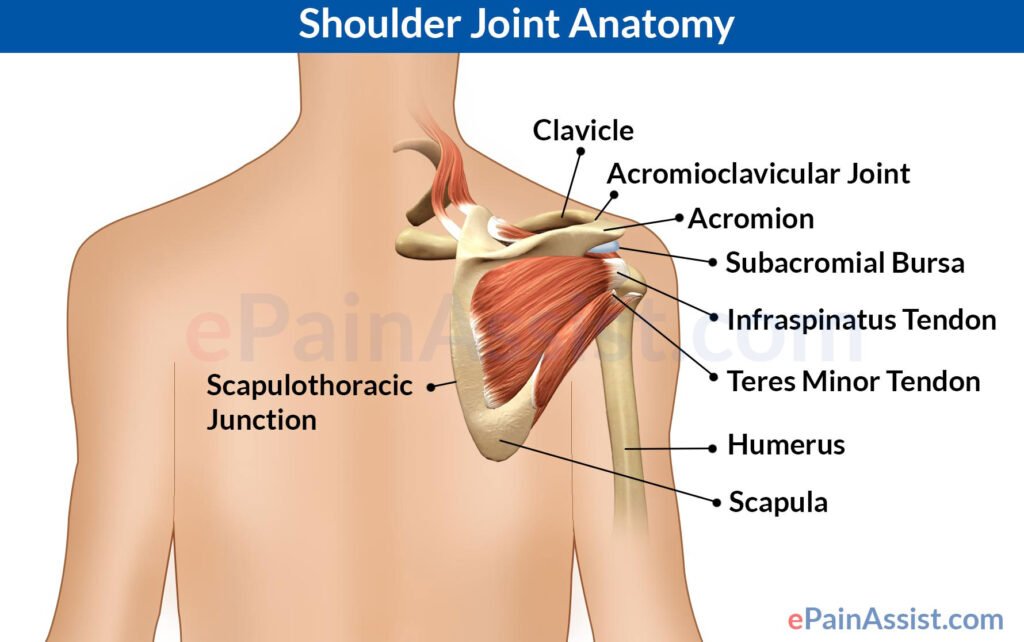 Radius Lower End Fractures