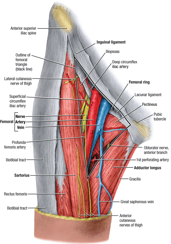 Contraindications and Complication of Knee Arthroplasty