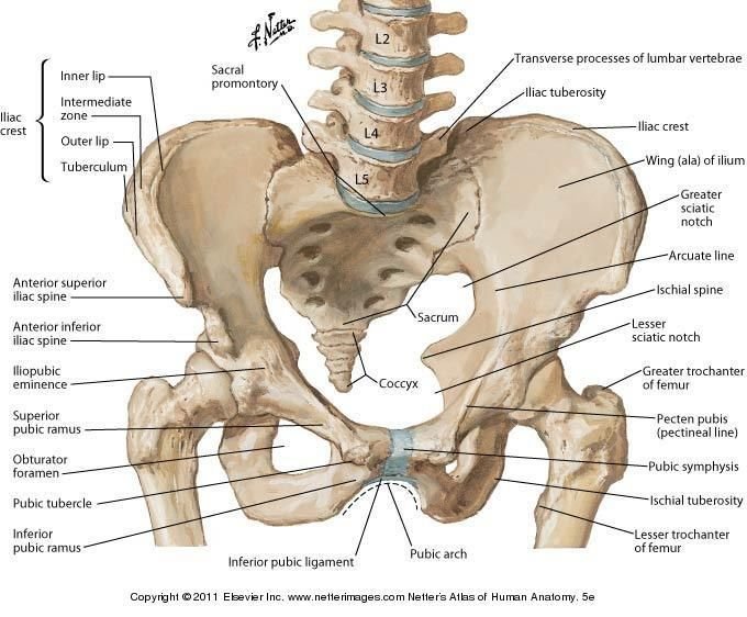 Sacroiliac Joint Trauma 