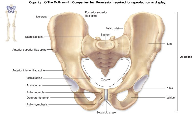 Sacroiliac Joint Fracture