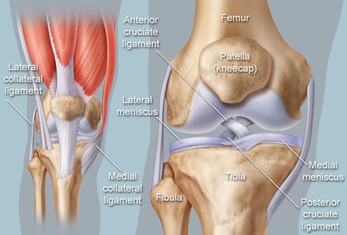 Indications/ Uses of Knee Arthroplasty