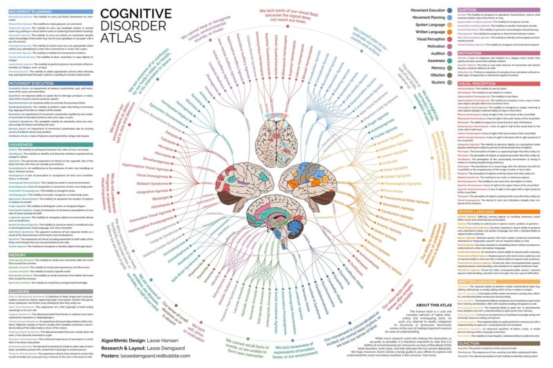 The Brain - Anatomy, Types, Functions