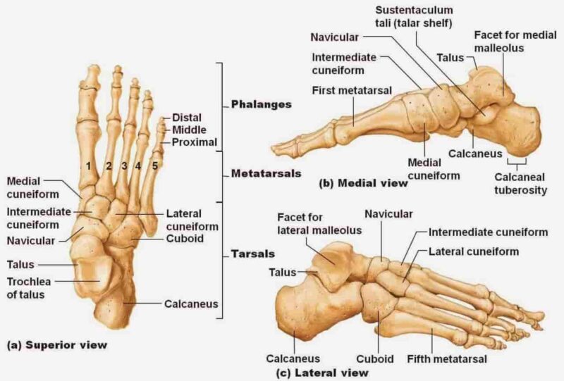 Lover's Fracture,  Rope Skipping Playing Fracture