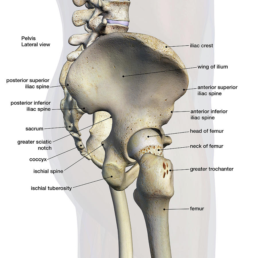 Anterior Inferior Iliac Spine (AIIS) Avulsion Fracture Anterior Inferior Iliac Spine (AIIS) Avulsion Fracture