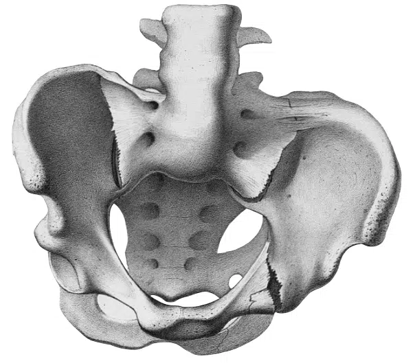 Malgaigne Fracture