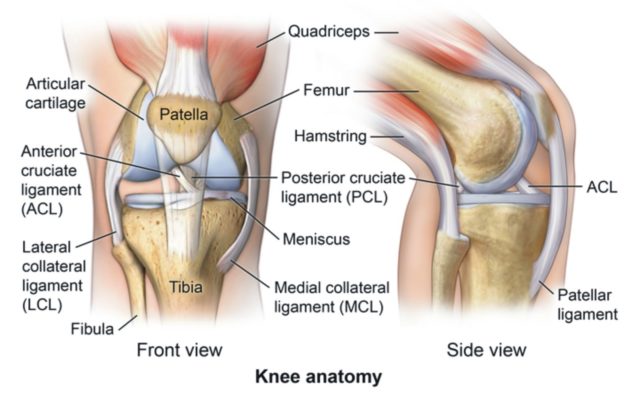 MCL Avulsion Fracture MCL Avulsion Fracture