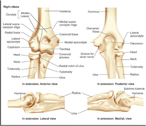 Lateral Humeral Condyle Fractures