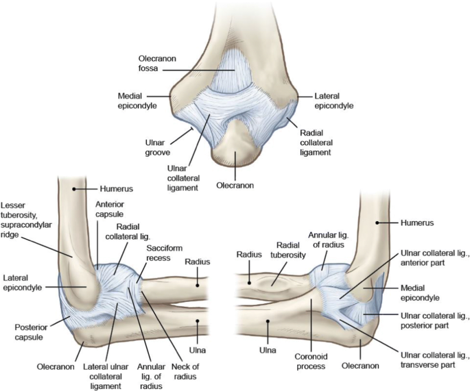 Lateral Humeral Condyle Fractures