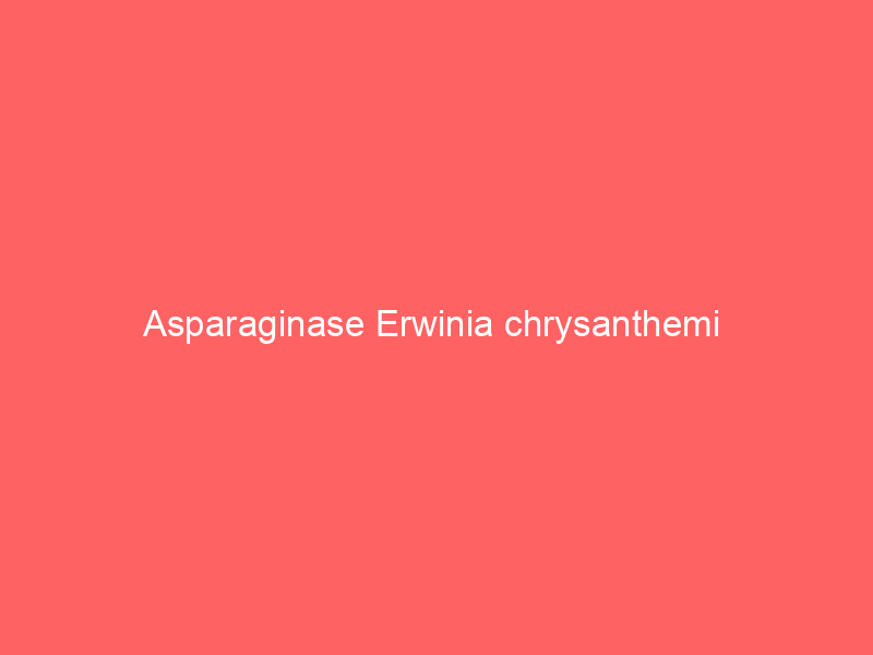 Asparaginase Erwinia chrysanthemi 