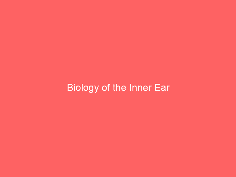 Biology of the Inner Ear