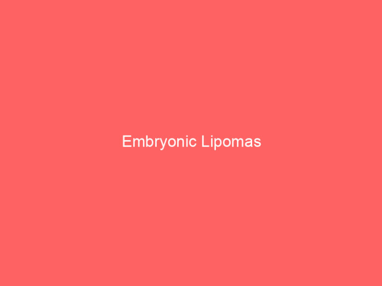 Embryonic Lipomas