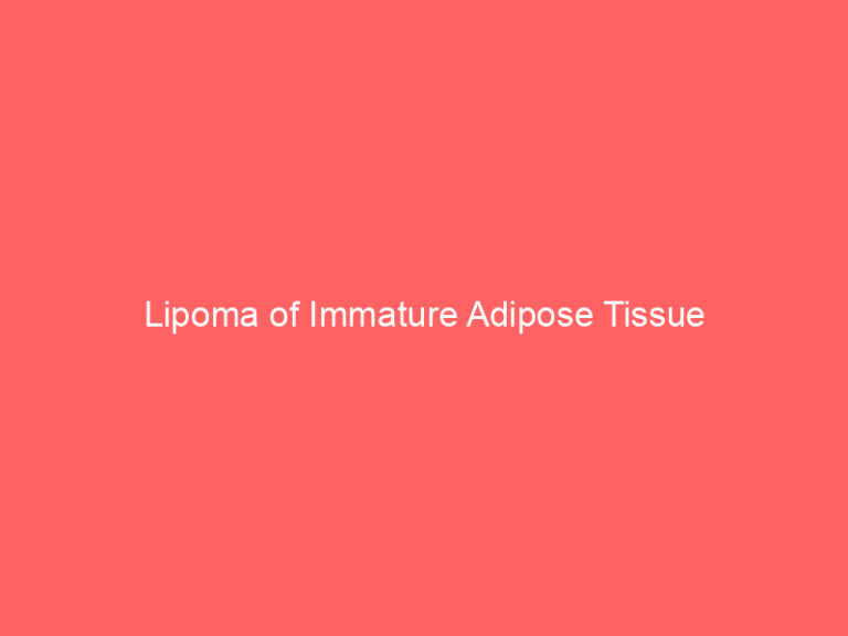 Lipoma of Immature Adipose Tissue