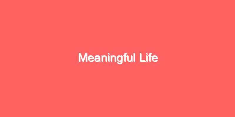 Meaningful Life