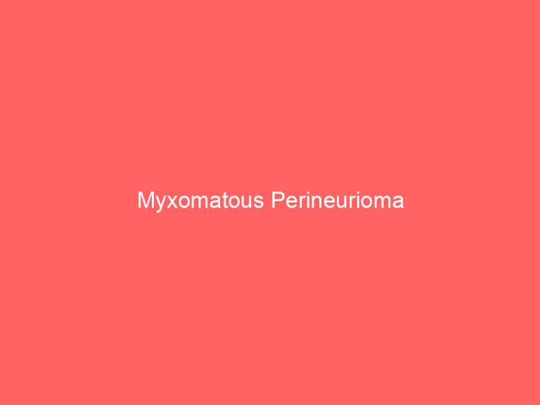 Myxomatous Perineurioma