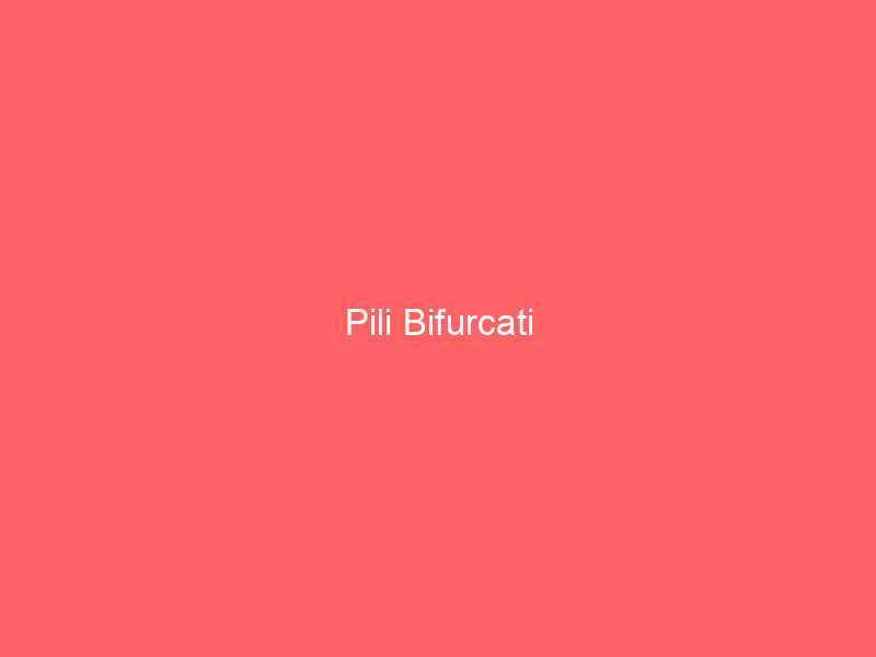 Pili Bifurcati