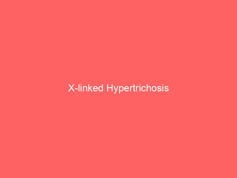 X-linked Hypertrichosis