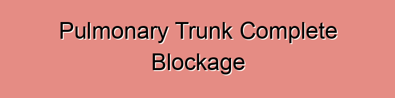Pulmonary Trunk Complete Blockage