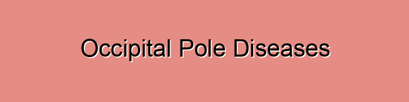 Occipital pole diseases refer to medical conditions that affect the ...