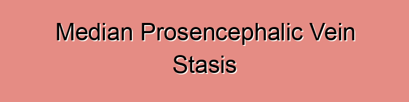 Median Prosencephalic Vein Stasis (MPVS) occurs when there’s a backup ...