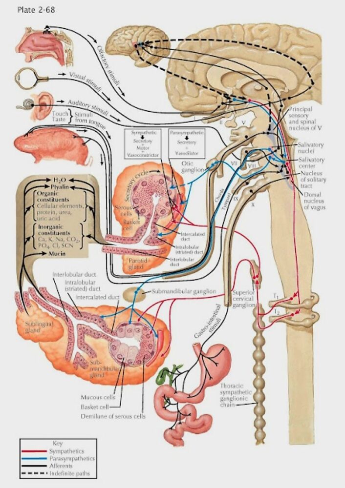Lumbar Spine Diseases