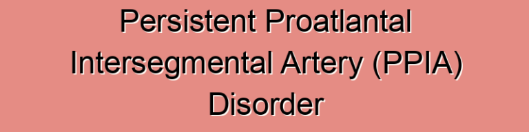 Persistent Proatlantal Intersegmental Artery (PPIA) Disorder