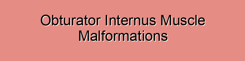 Obturator Internus Muscle Malformations