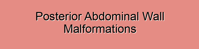 Posterior Abdominal Wall Malformations