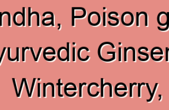 Ashwagandha, Poison gooseberry, Ayurvedic Ginseng, Wintercherry, Ghoda Asoda