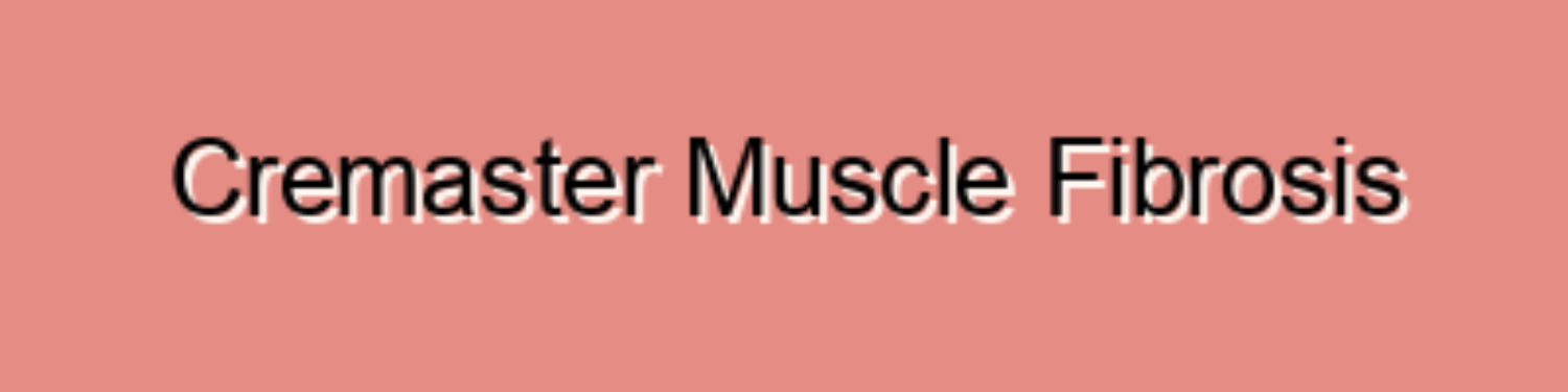 Cremaster Muscle Fibrosis