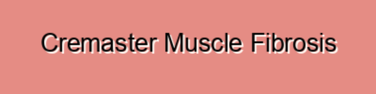 Cremaster Muscle Fibrosis