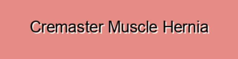 Cremaster Muscle Hernia